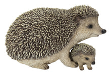 Load image into Gallery viewer, 87743-F - MOTHER &amp; BABY HEDGEHOGS
