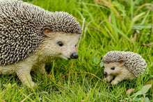 Load image into Gallery viewer, 87743-F - MOTHER &amp; BABY HEDGEHOGS
