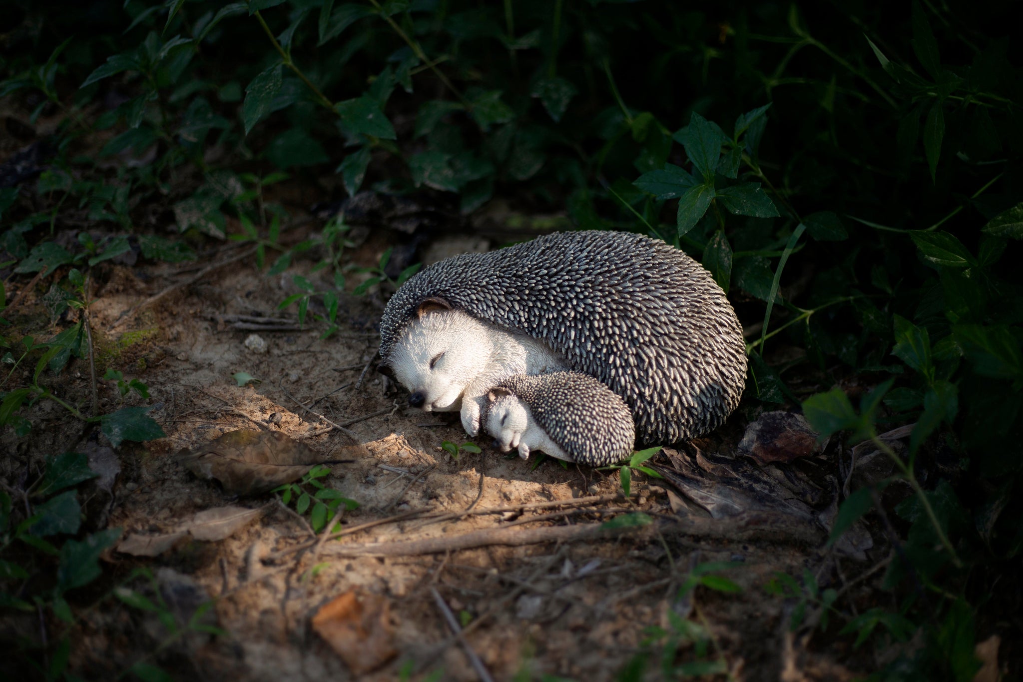Soreal Baby Soreal - Sleeping Mother Baby Hedgehog – Hi-Line Wholesale CA