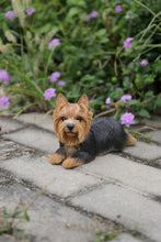 Load image into Gallery viewer, 87745 - DOG-YORKSHIRE TERRIER LYING DOWN
