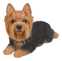 Load image into Gallery viewer, 87745 - DOG-YORKSHIRE TERRIER LYING DOWN
