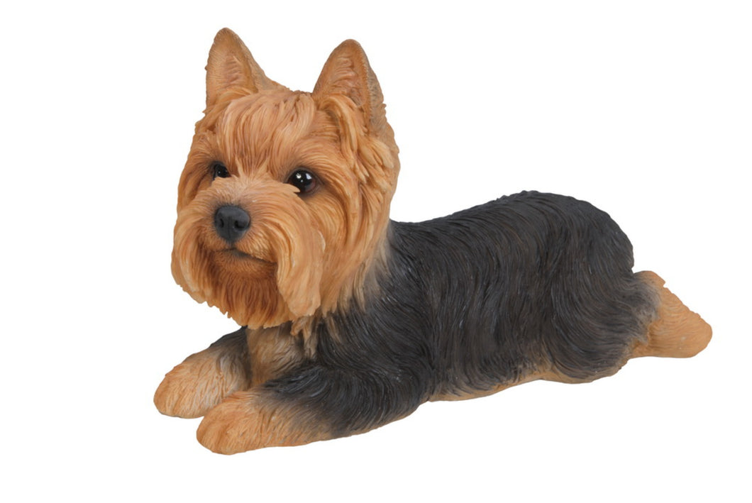 87745 - DOG-YORKSHIRE TERRIER LYING DOWN