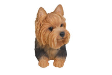 Load image into Gallery viewer, 87745 - DOG-YORKSHIRE TERRIER LYING DOWN
