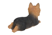 Load image into Gallery viewer, 87745 - DOG-YORKSHIRE TERRIER LYING DOWN
