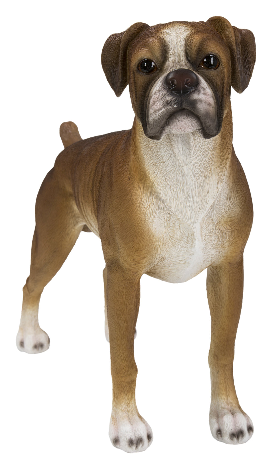 87748-A - BOXER DOG STANDING