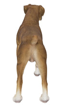 Load image into Gallery viewer, 87748-A - BOXER DOG STANDING
