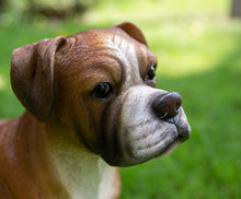 Load image into Gallery viewer, 87748-A - BOXER DOG STANDING
