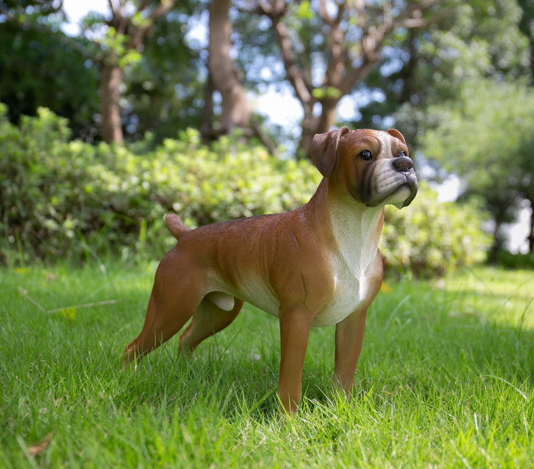 87748-A - BOXER DOG STANDING