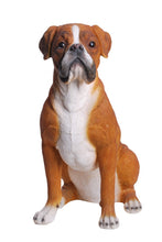 Load image into Gallery viewer, 87748 - DOG-BOXER SITTING
