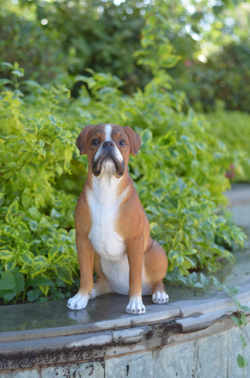 87748 - DOG-BOXER SITTING