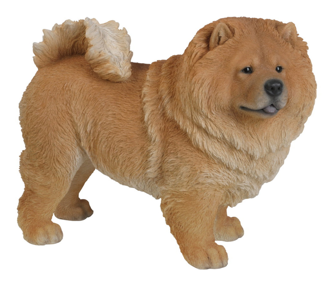 87749 - DOG-CHOW CHOW STANDING