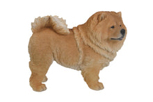 Load image into Gallery viewer, 87749 - DOG-CHOW CHOW STANDING
