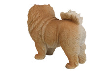 Load image into Gallery viewer, 87749 - DOG-CHOW CHOW STANDING
