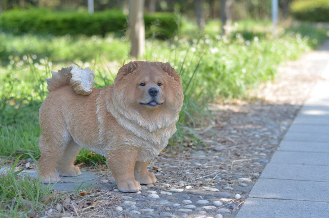 87749 - DOG-CHOW CHOW STANDING