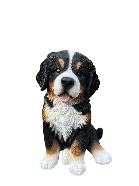 Soreal - Bernese Mountain Dog