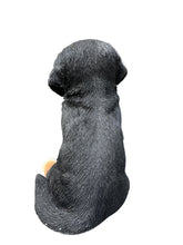 Load image into Gallery viewer, Soreal - Bernese Mountain Dog
