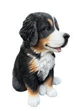 Load image into Gallery viewer, Soreal - Bernese Mountain Dog

