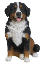 Load image into Gallery viewer, 87750 - DOG-BERNESE MOUNTAIN DOG
