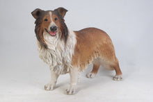 Load image into Gallery viewer, 87754 - DOG-COLLIE
