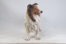 Load image into Gallery viewer, 87754 - DOG-COLLIE
