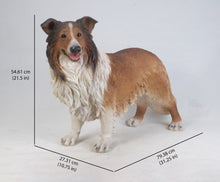 Load image into Gallery viewer, 87754 - DOG-COLLIE
