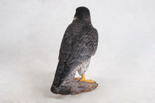 Load image into Gallery viewer, 87755 - PEREGRINE FALCON
