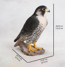 Load image into Gallery viewer, 87755 - PEREGRINE FALCON
