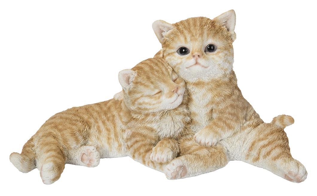 COUPLE CAT - ORANGE