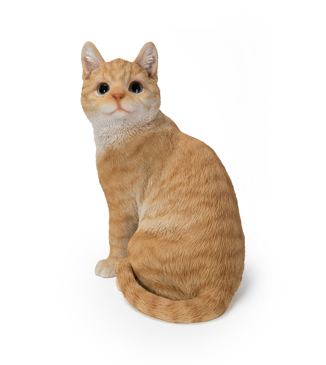 87757-02 - GINGER CAT