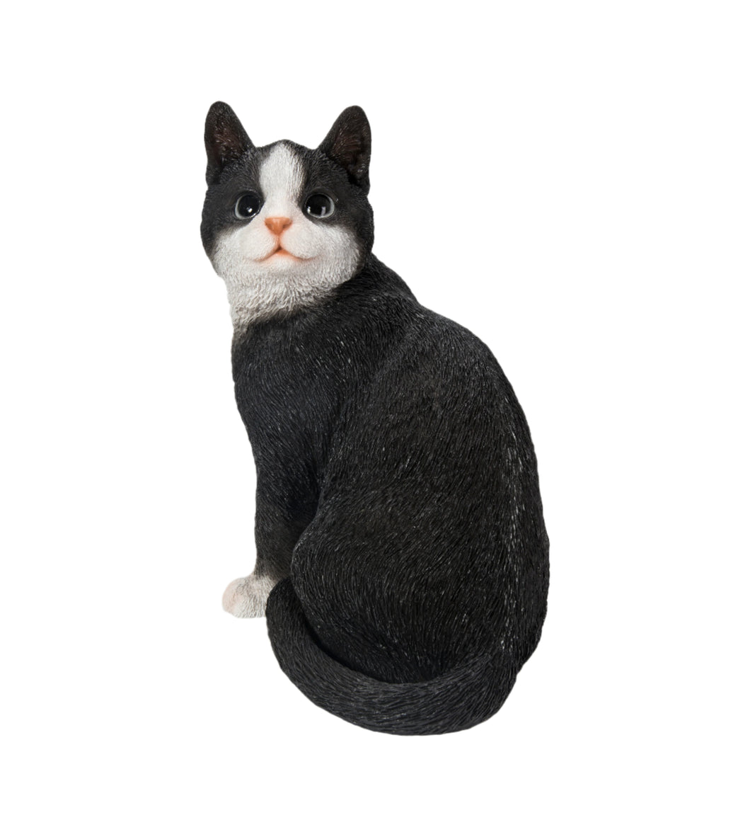 87757-03 - BLACK CAT