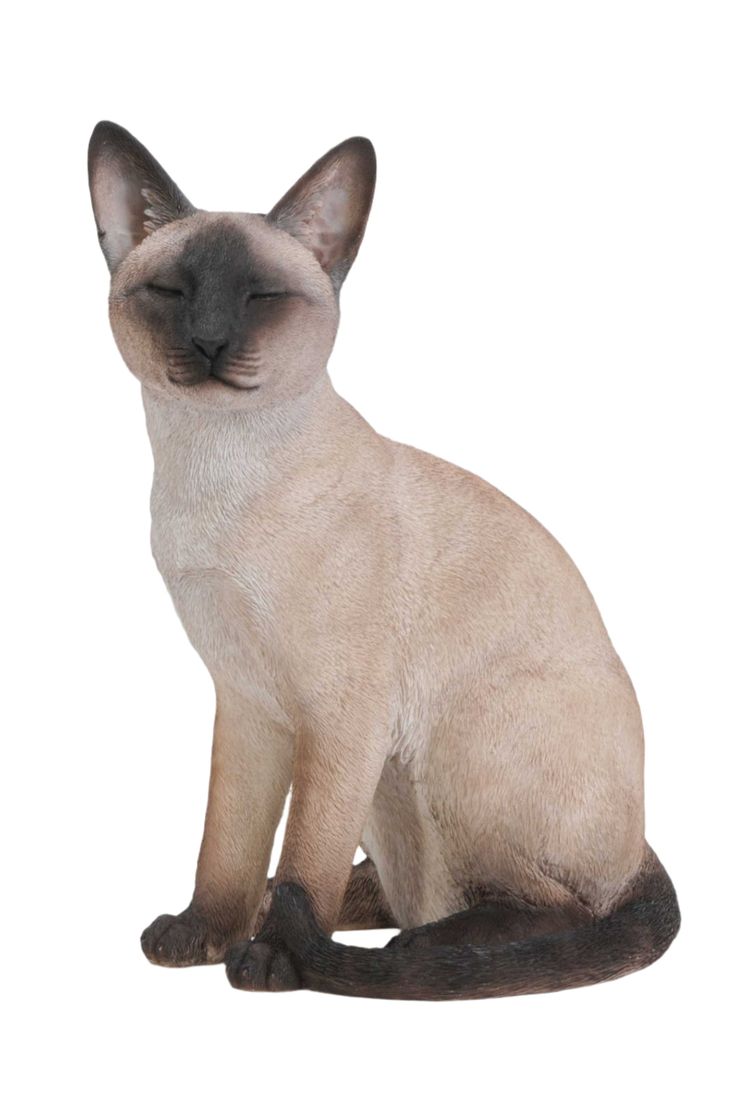 CAT-SIAMESE CAT SITTING