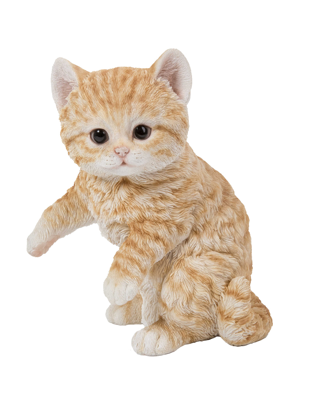 CAT-KITTEN PLAYING - ORANGE TABBY