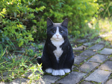 Load image into Gallery viewer, 87757-I - CAT SITTING - BLACK/WHITE
