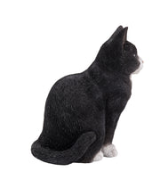 Load image into Gallery viewer, 87757-I - CAT SITTING - BLACK/WHITE
