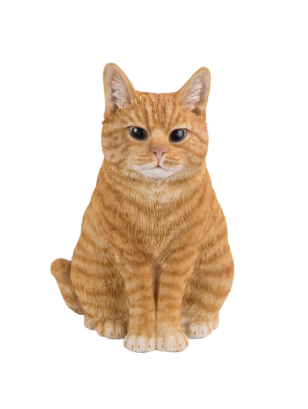 CAT SITTING - ORANGE TABBY