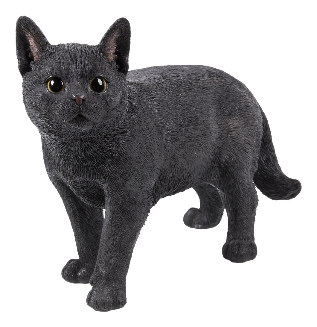 CAT WALKING LOOKING LEFT - BLACK