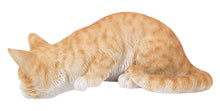 Load image into Gallery viewer, 87757-M - CAT LOOKING OVER LEDGE - ORANGE TABBY
