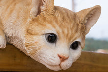 Load image into Gallery viewer, 87757-M - CAT LOOKING OVER LEDGE - ORANGE TABBY
