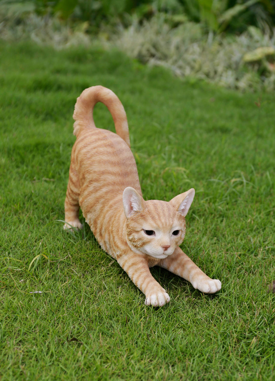 87757-O - CAT STRETCHING - ORANGE TABBY