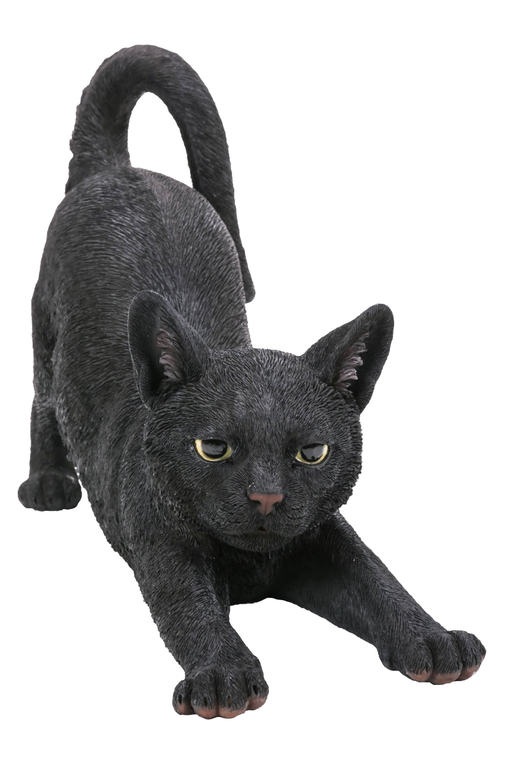 CAT STRETCHING - BLACK