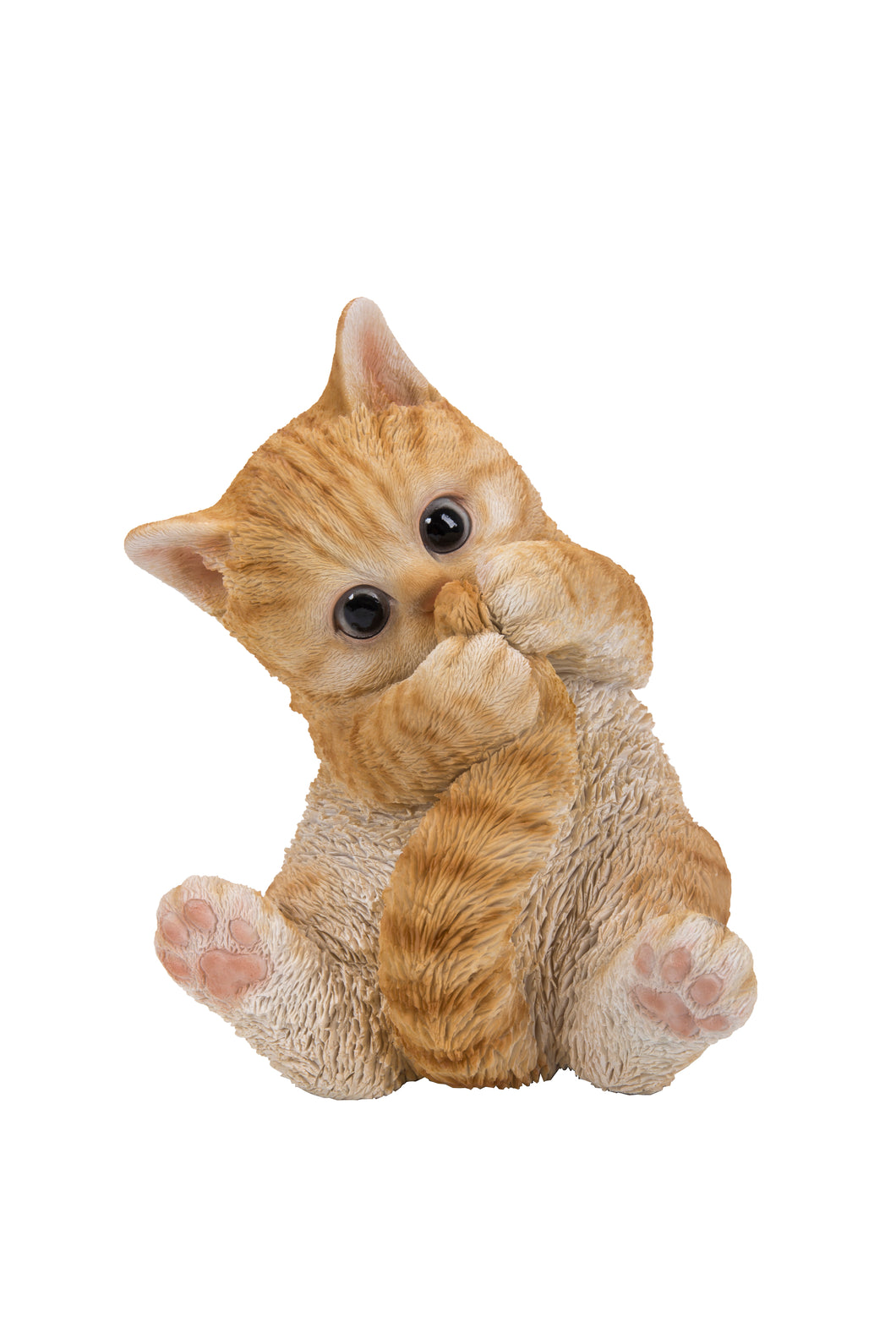 CAT-ORANGE TABBY KITTEN PLAYING WITH TAIL