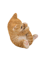 Load image into Gallery viewer, 87757-Q - CAT-ORANGE TABBY KITTEN PLAYING WITH TAIL
