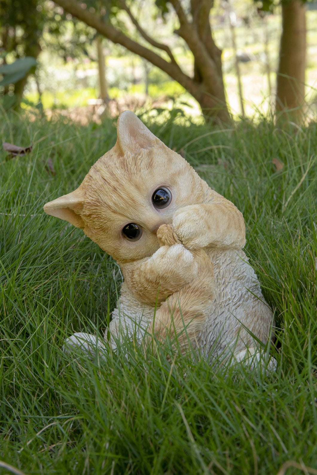 87757-Q - CAT-ORANGE TABBY KITTEN PLAYING WITH TAIL