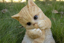 Load image into Gallery viewer, 87757-Q - CAT-ORANGE TABBY KITTEN PLAYING WITH TAIL
