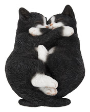 Load image into Gallery viewer, 87757-S - SLEEPING COUPLE CATS - BLACK AND WHITE
