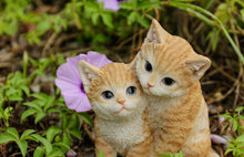 Load image into Gallery viewer, 87757-T - KITTENS HUGGING - ORANGE
