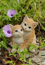 Load image into Gallery viewer, 87757-T - KITTENS HUGGING - ORANGE
