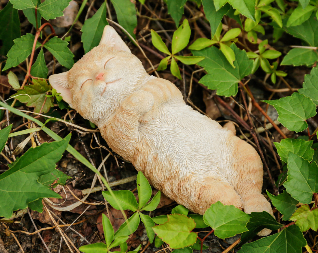 87757-V - SLEEPING CAT - ORANGE