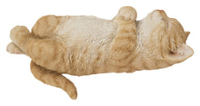 Load image into Gallery viewer, 87757-V - SLEEPING CAT - ORANGE
