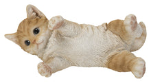 Load image into Gallery viewer, 87757-Y - LYING CAT
